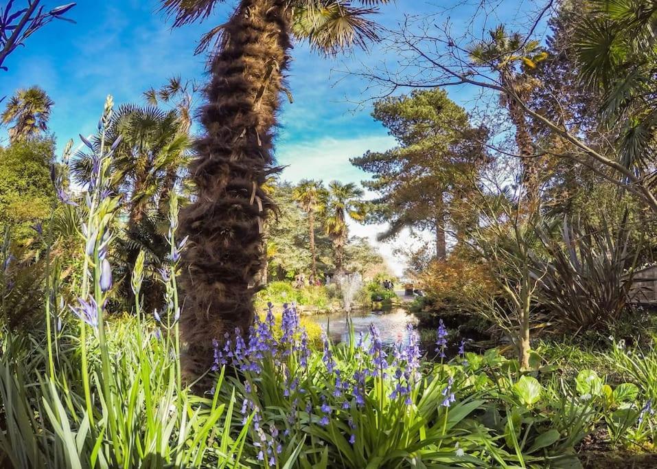 Bournecoast - Stunning View Of Nature Reserve - Hb5901 Villa Bournemouth Bagian luar foto