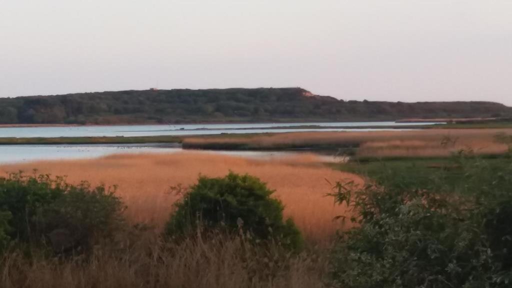 Bournecoast - Stunning View Of Nature Reserve - Hb5901 Villa Bournemouth Bagian luar foto