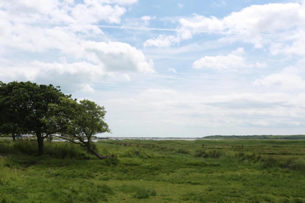 Bournecoast - Stunning View Of Nature Reserve - Hb5901 Villa Bournemouth Bagian luar foto